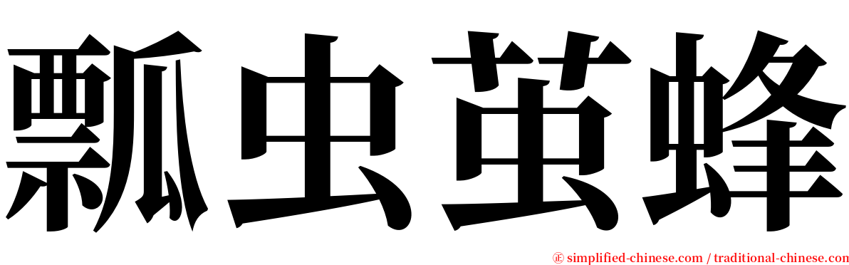 瓢虫茧蜂 serif font