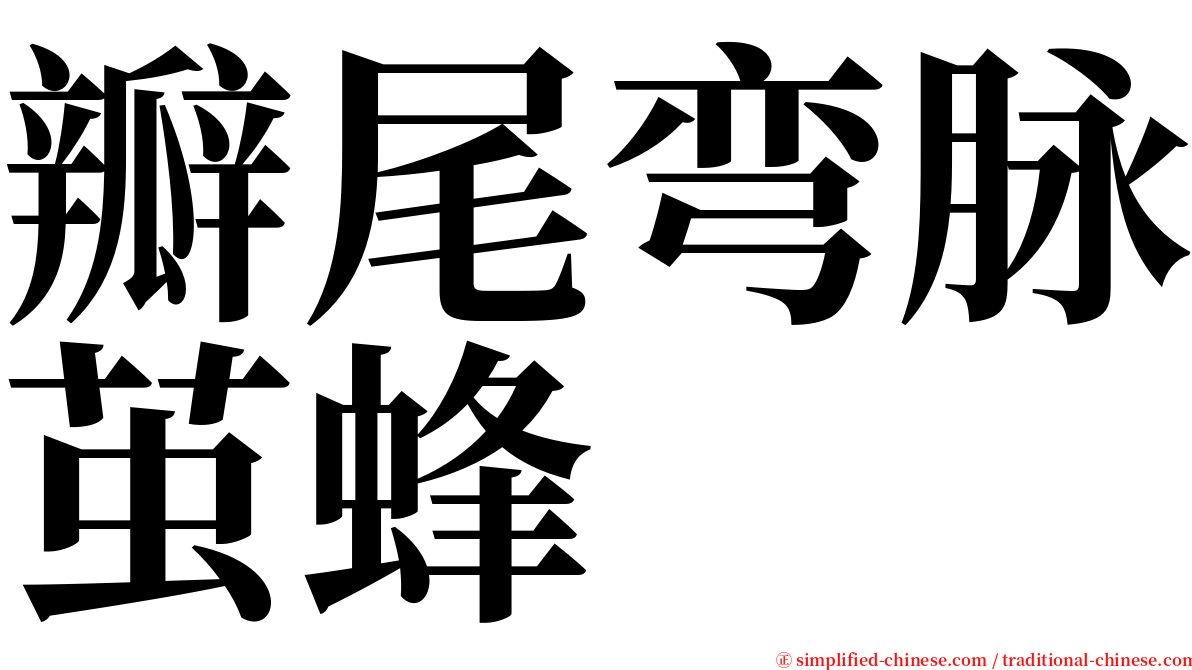 瓣尾弯脉茧蜂 serif font