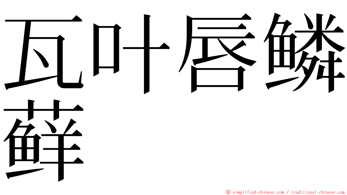 瓦叶唇鳞藓 ming font