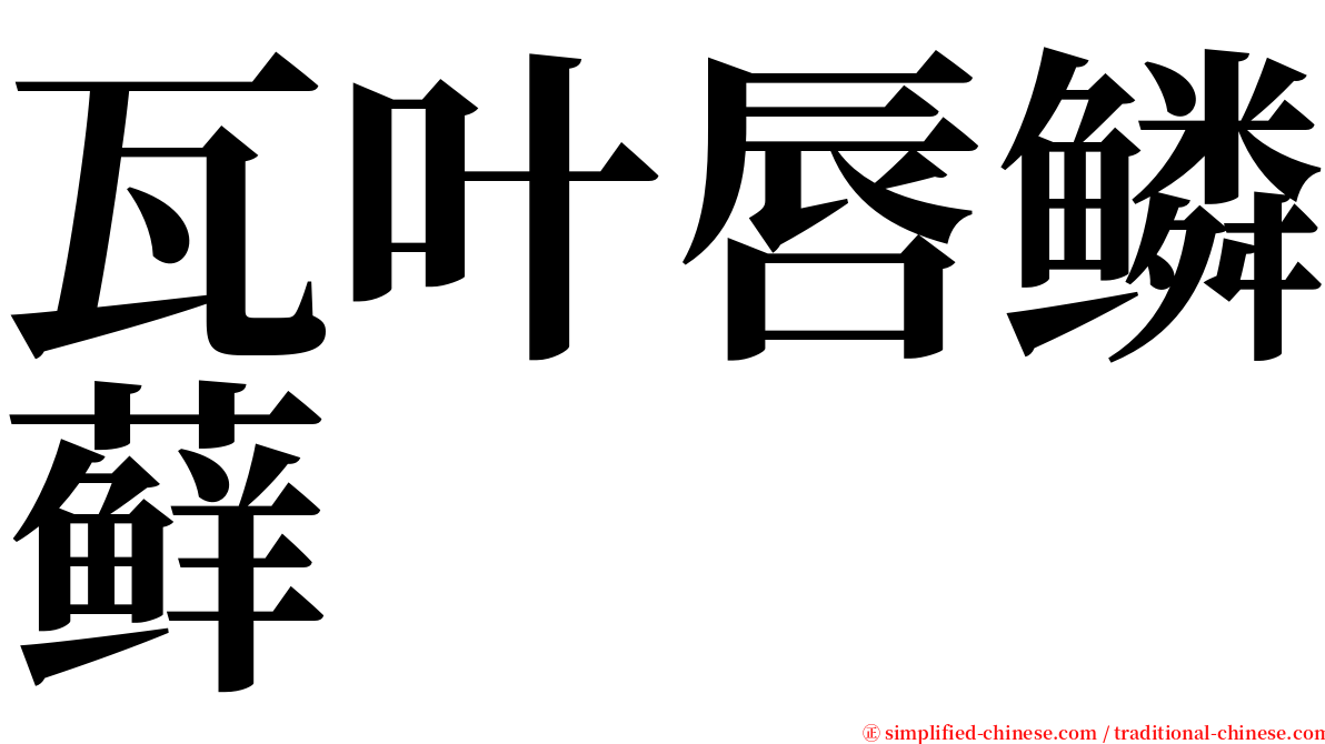 瓦叶唇鳞藓 serif font