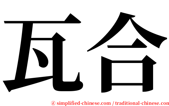 瓦合 serif font