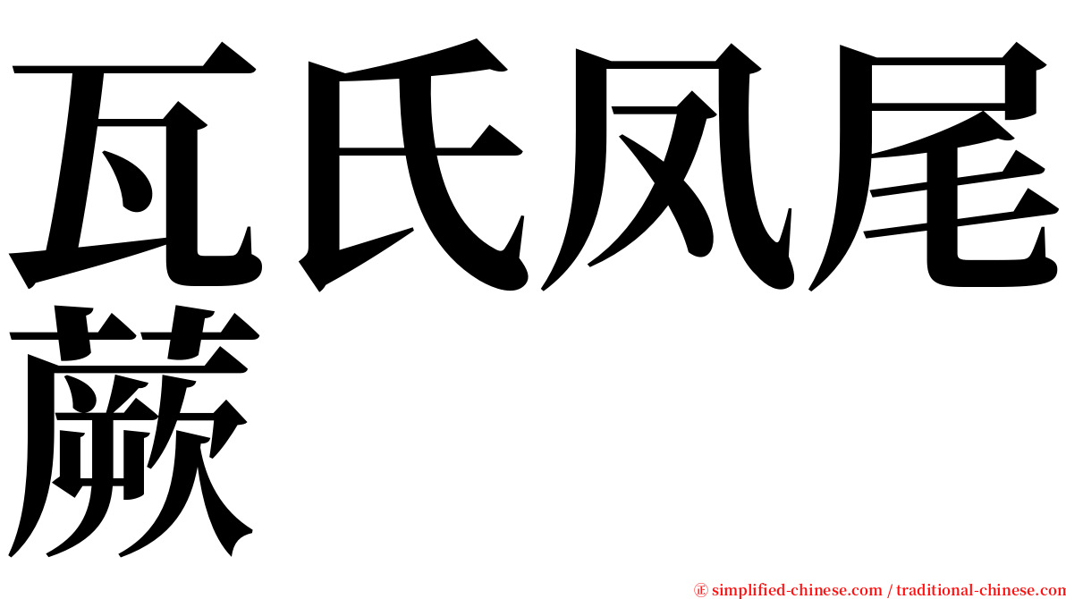 瓦氏凤尾蕨 serif font