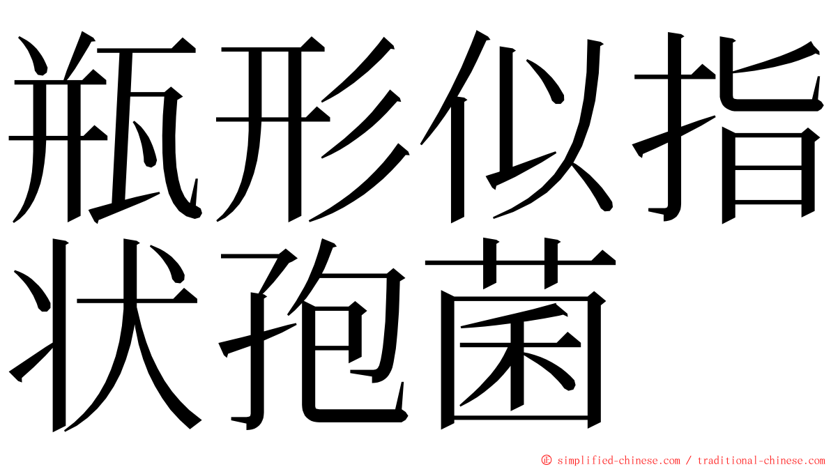 瓶形似指状孢菌 ming font