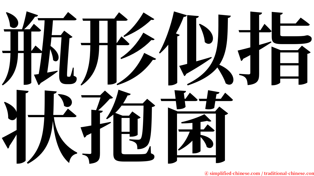 瓶形似指状孢菌 serif font