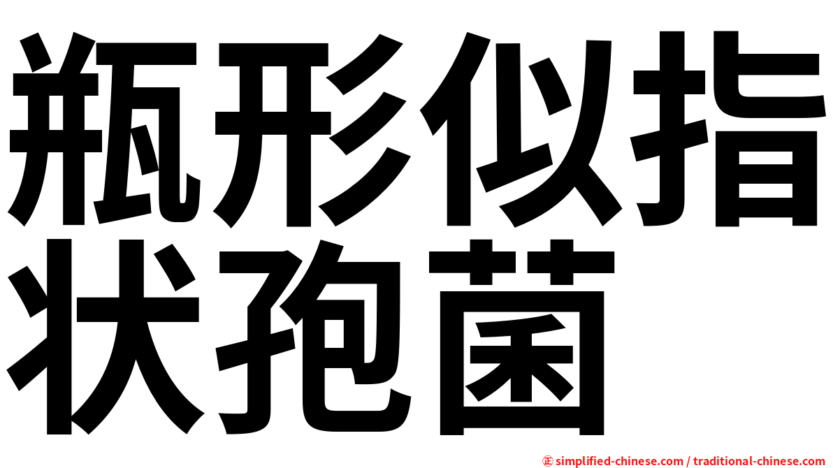 瓶形似指状孢菌