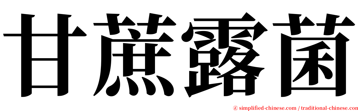 甘蔗露菌 serif font
