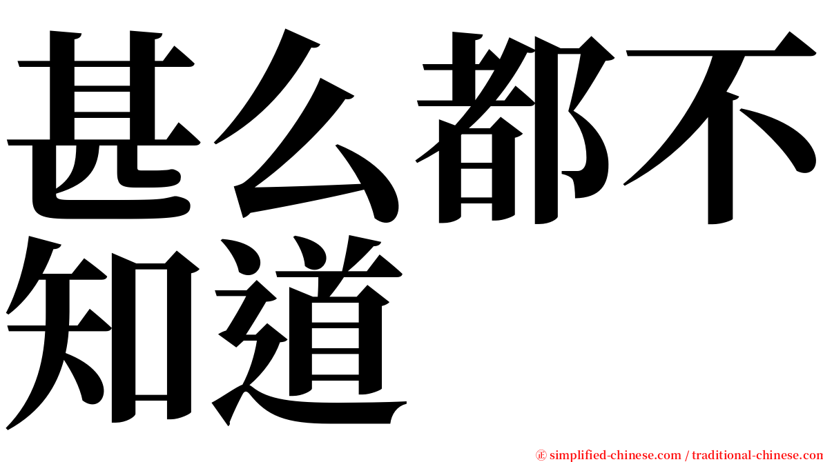 甚么都不知道 serif font