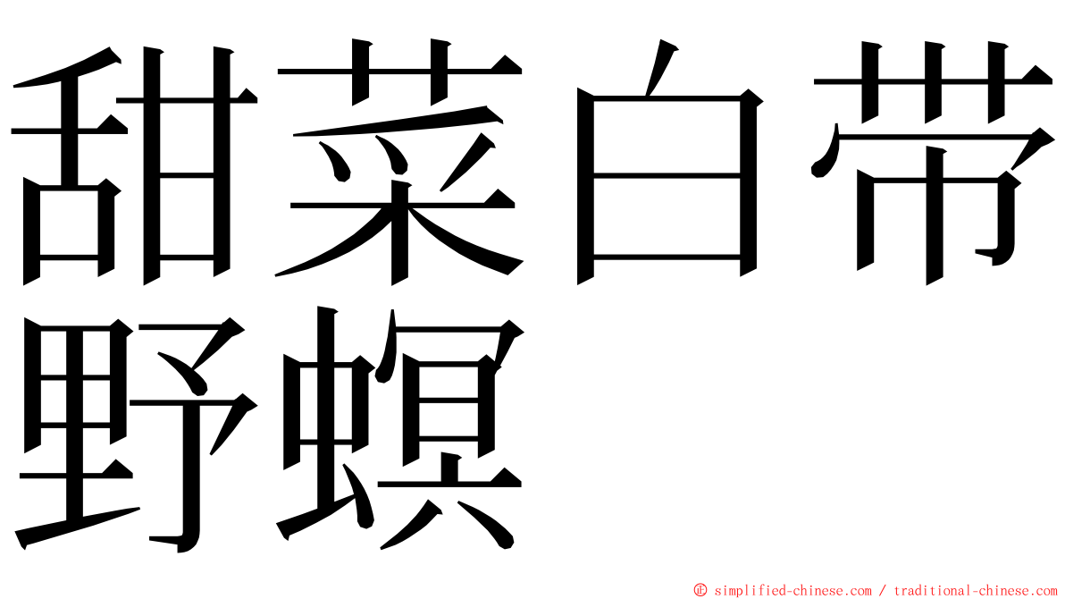 甜菜白带野螟 ming font