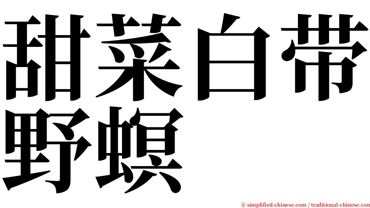 甜菜白带野螟 serif font