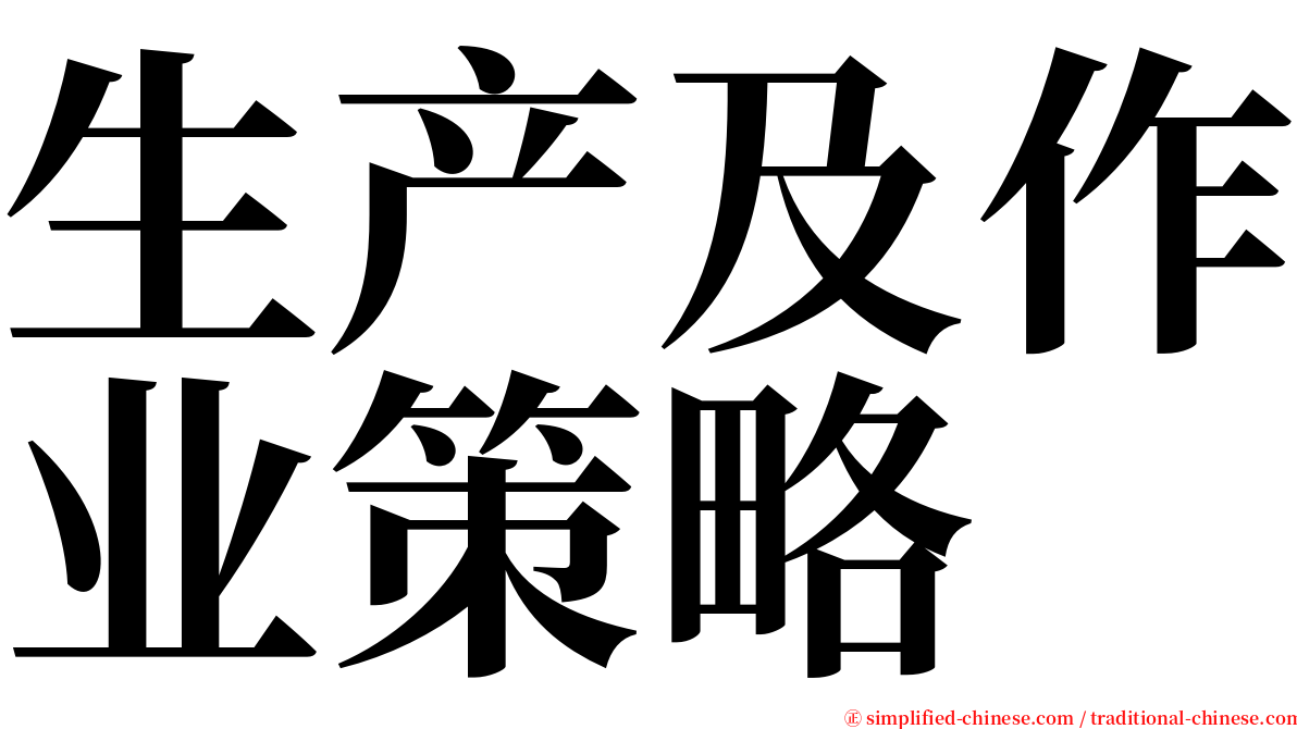 生产及作业策略 serif font