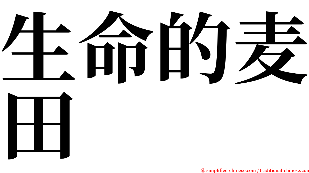 生命的麦田 serif font