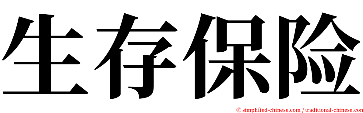 生存保险 serif font