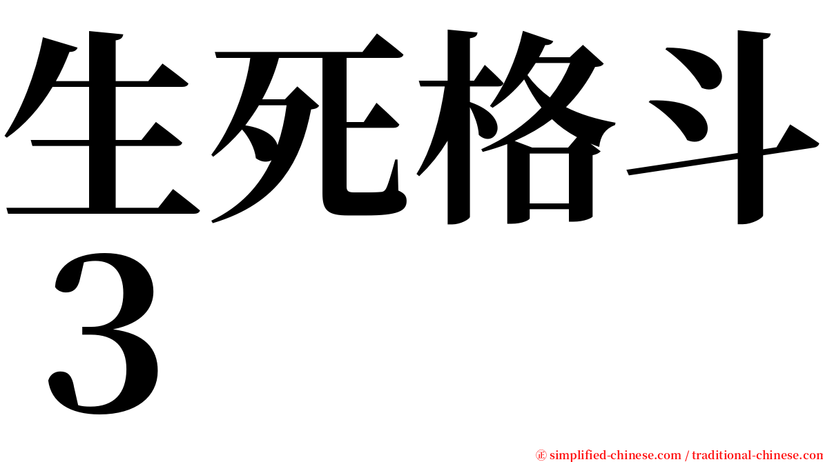 生死格斗３ serif font