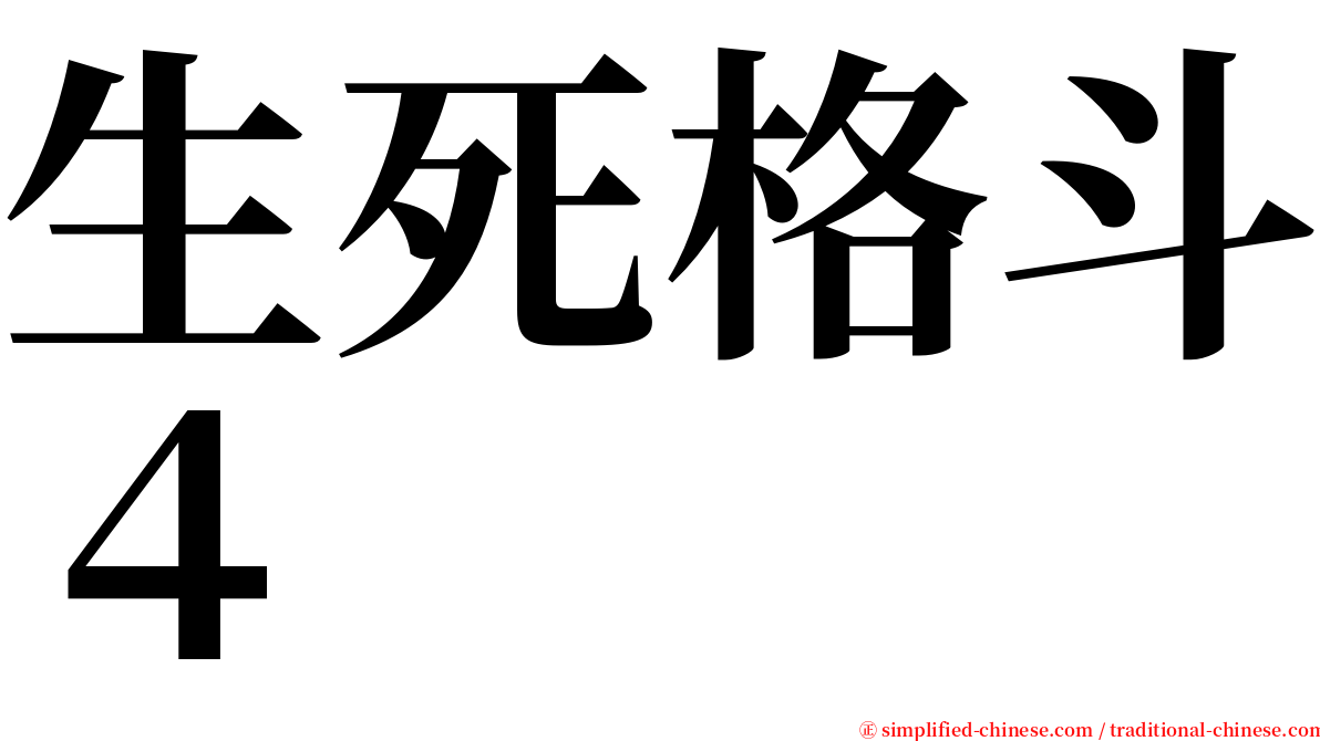 生死格斗４ serif font