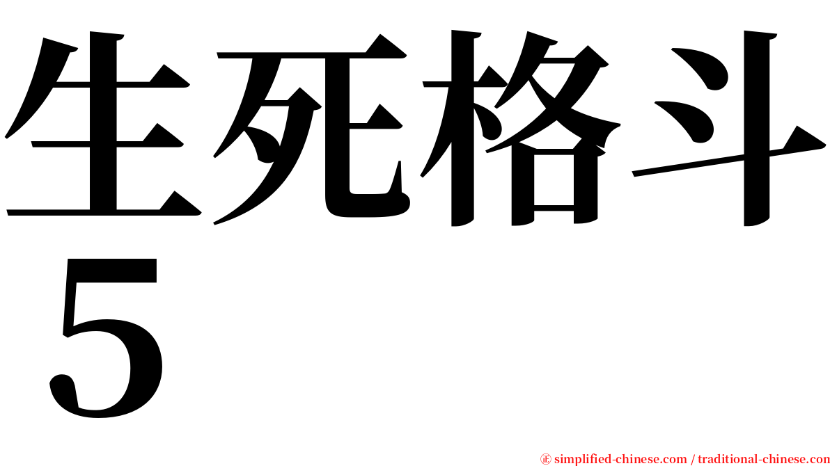 生死格斗５ serif font