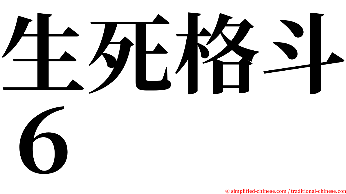 生死格斗６ serif font