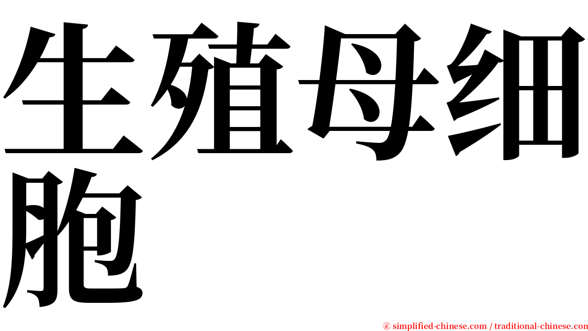 生殖母细胞 serif font