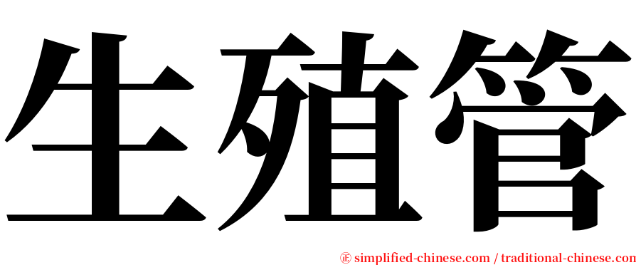 生殖管 serif font