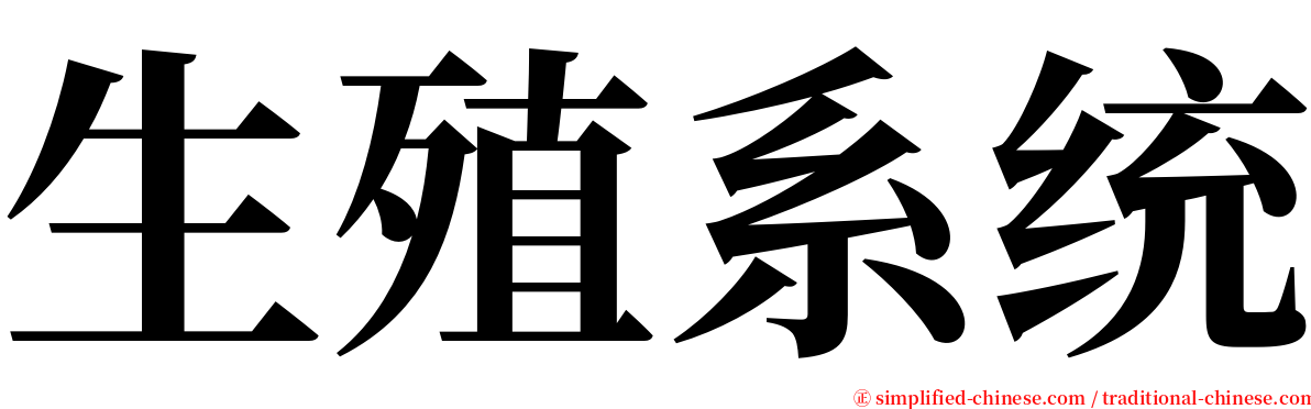 生殖系统 serif font