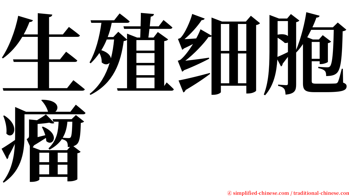 生殖细胞瘤 serif font