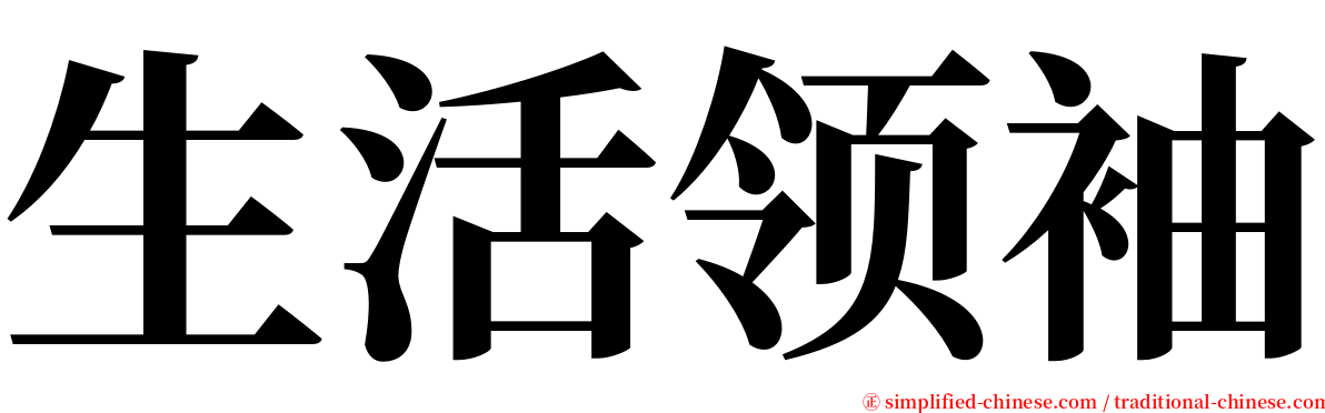 生活领袖 serif font