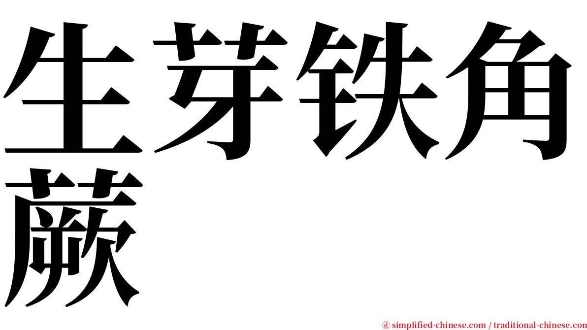 生芽铁角蕨 serif font