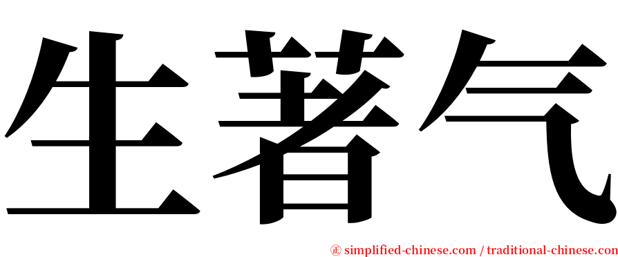 生著气 serif font