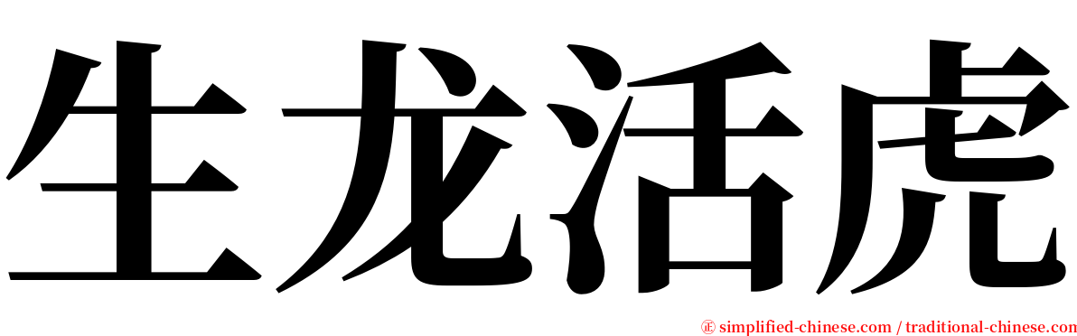 生龙活虎 serif font