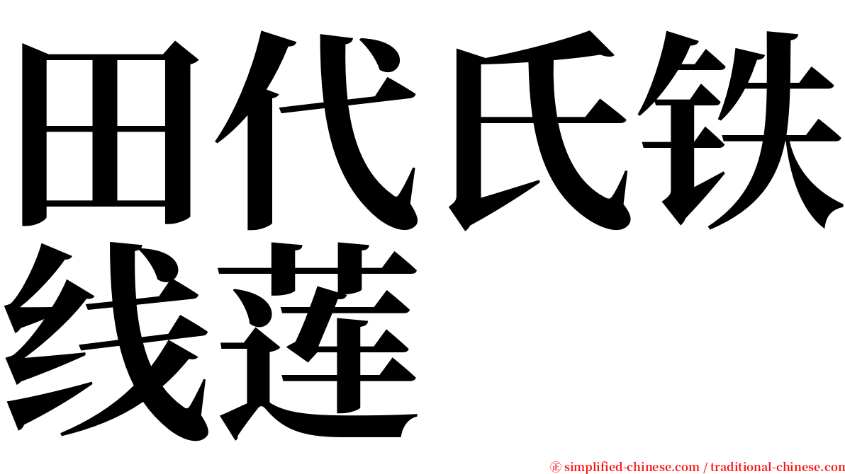 田代氏铁线莲 serif font