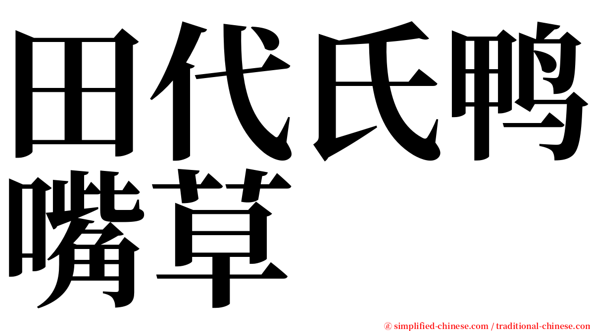 田代氏鸭嘴草 serif font
