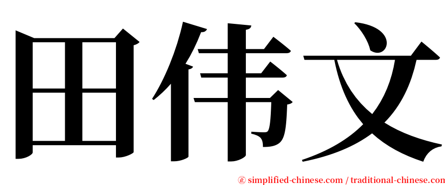 田伟文 serif font