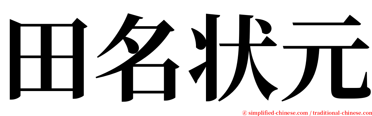 田名状元 serif font