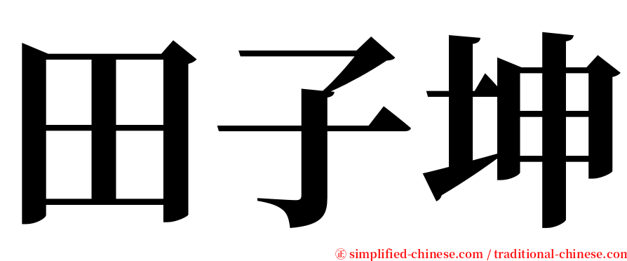 田子坤 serif font