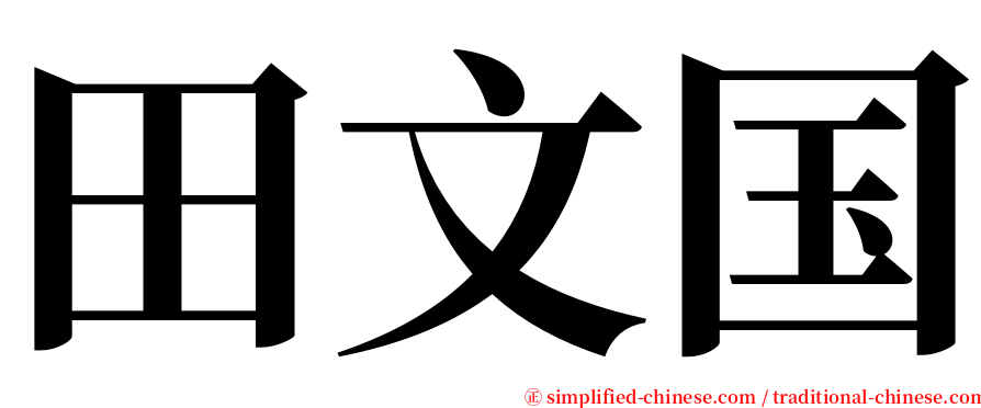 田文国 serif font