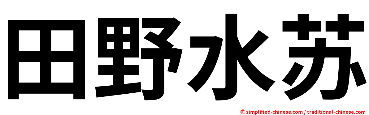 田野水苏