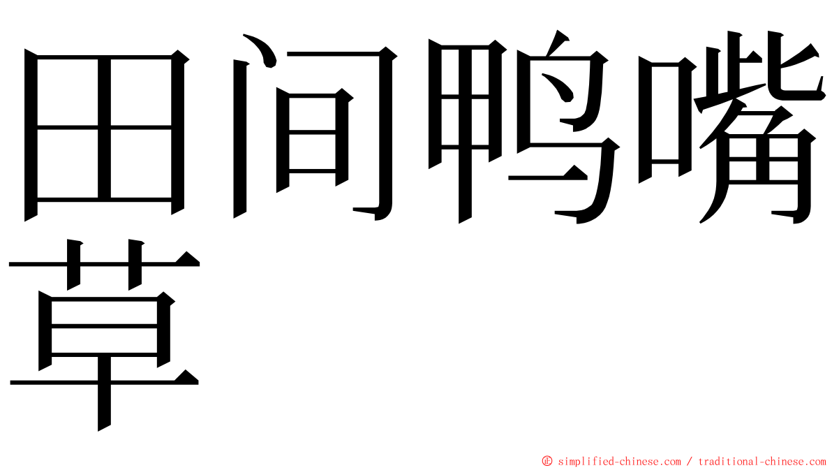 田间鸭嘴草 ming font