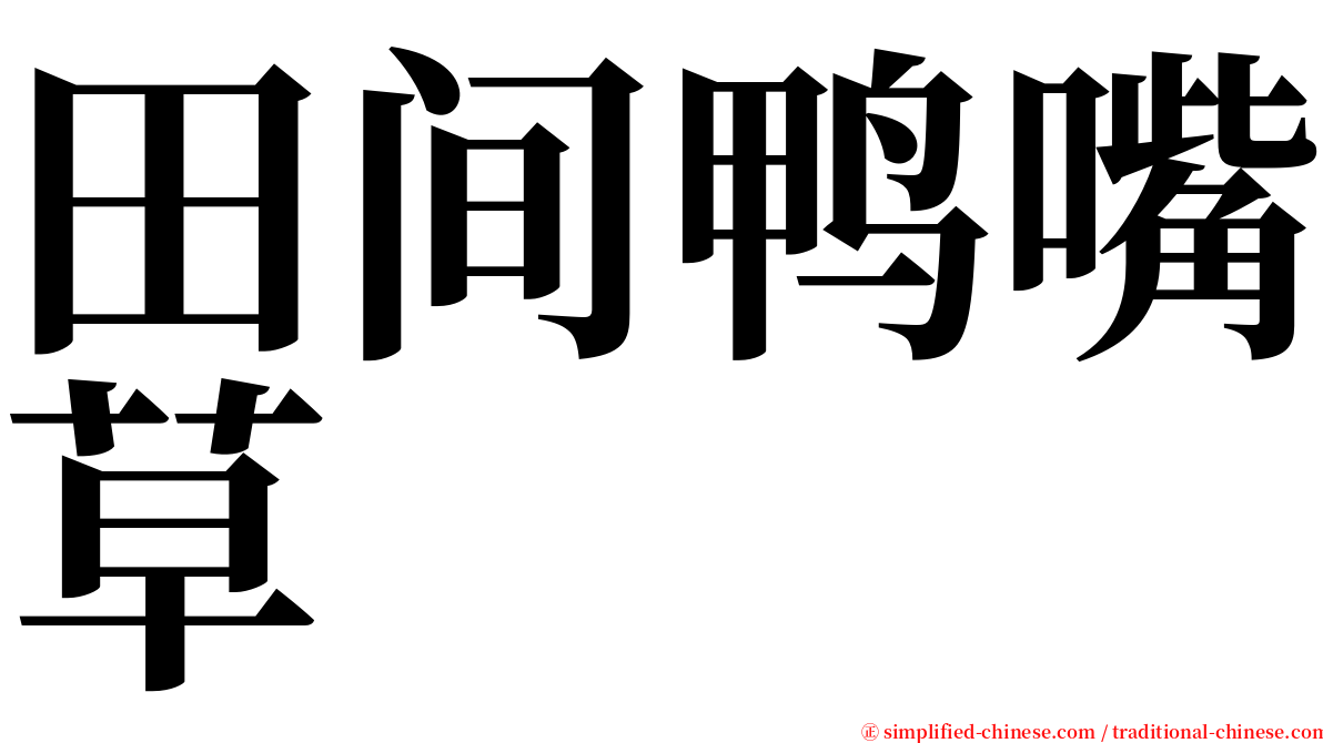 田间鸭嘴草 serif font