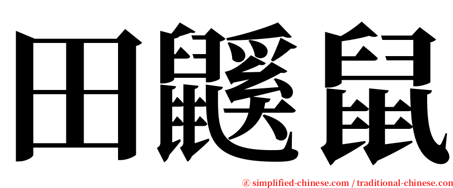 田鼷鼠 serif font
