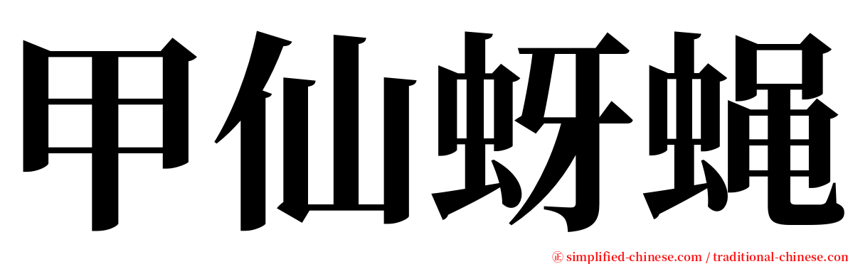 甲仙蚜蝇 serif font