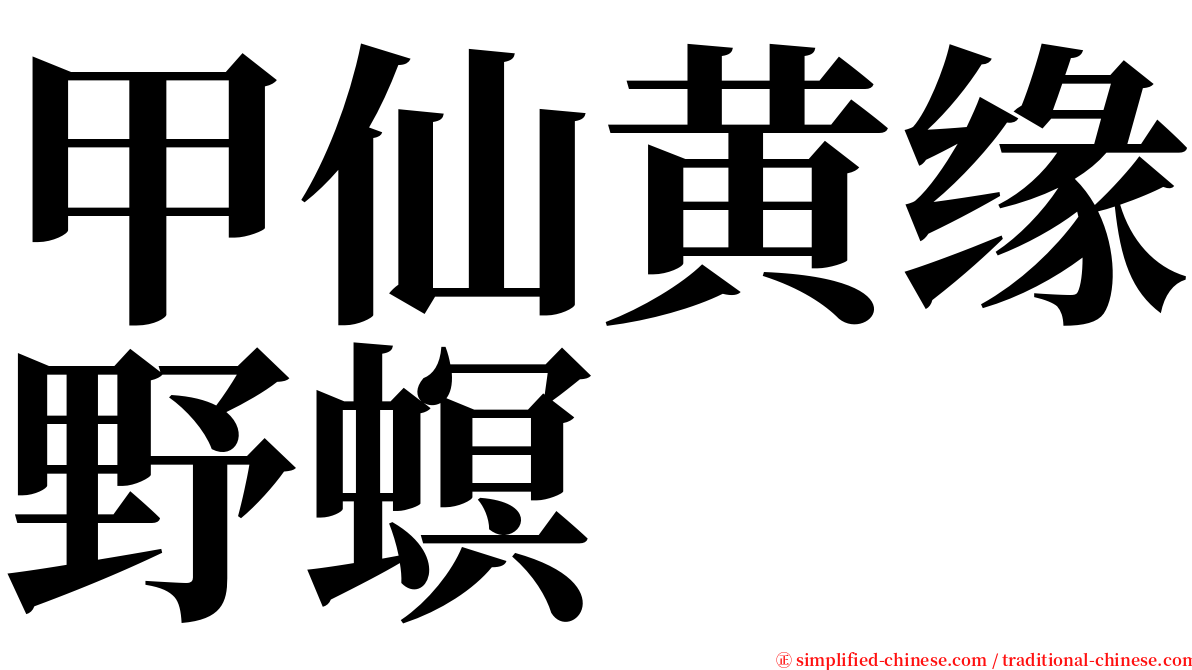 甲仙黄缘野螟 serif font
