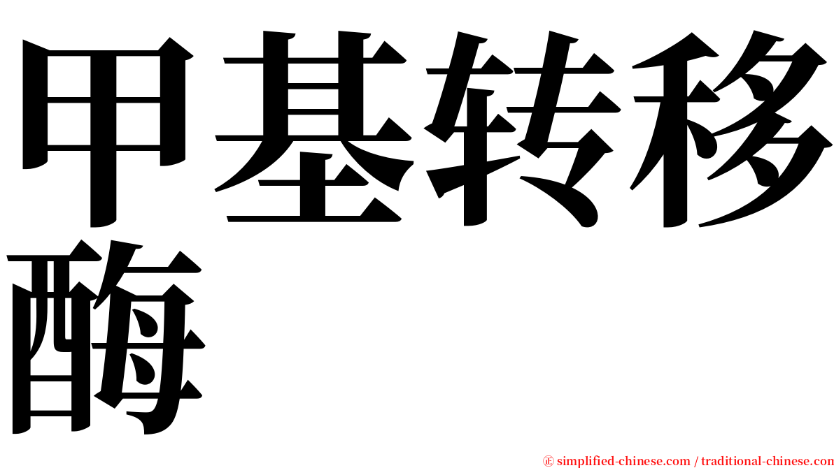 甲基转移酶 serif font