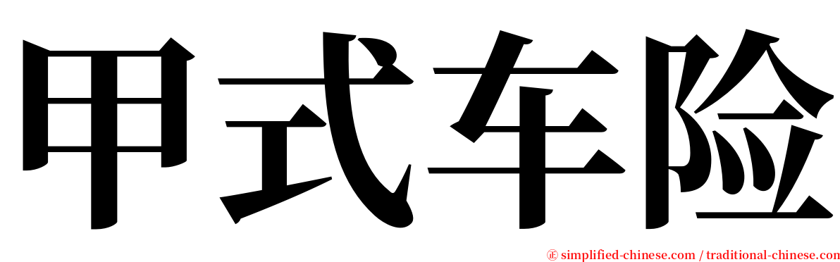 甲式车险 serif font