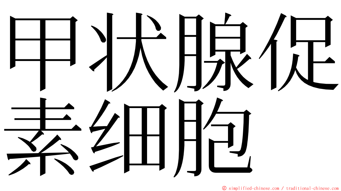 甲状腺促素细胞 ming font