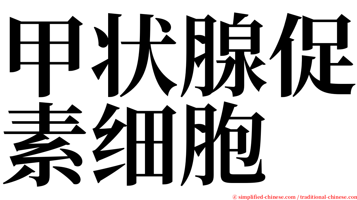 甲状腺促素细胞 serif font