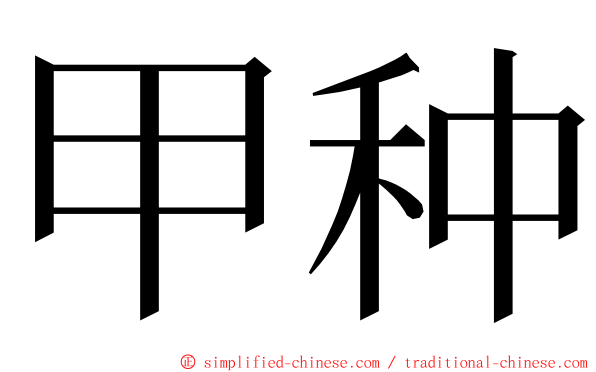 甲种 ming font