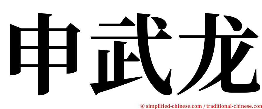 申武龙 serif font