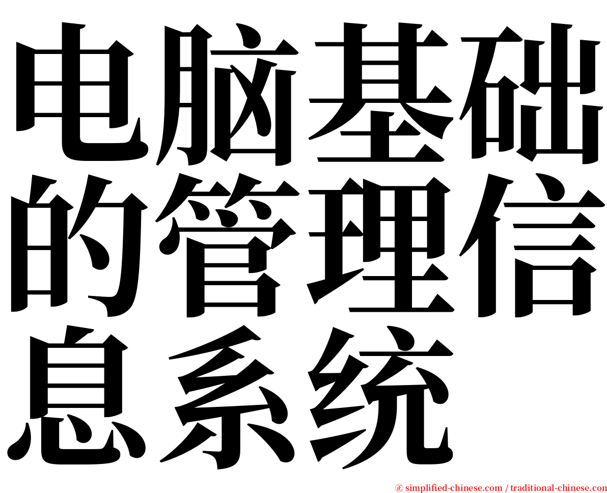 电脑基础的管理信息系统 serif font