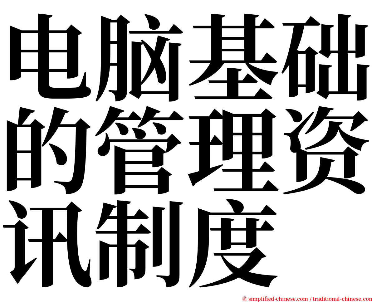 电脑基础的管理资讯制度 serif font