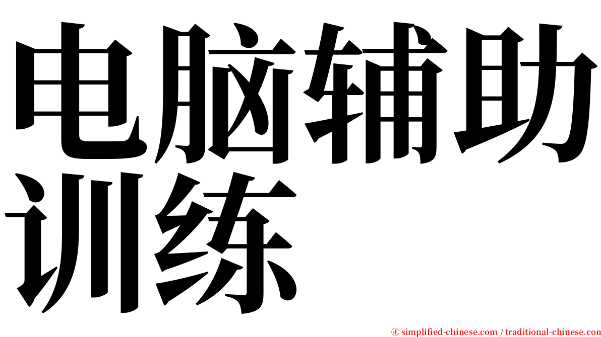 电脑辅助训练 serif font