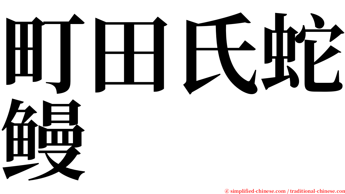 町田氏蛇鳗 serif font